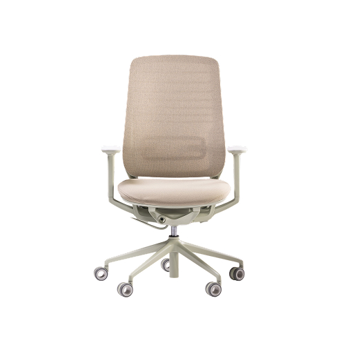 Reshape – gollinucci daniele