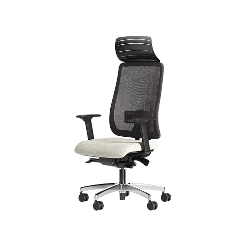 Denzel ergonomic office chair